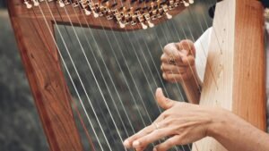 1 Harp Photo Generic